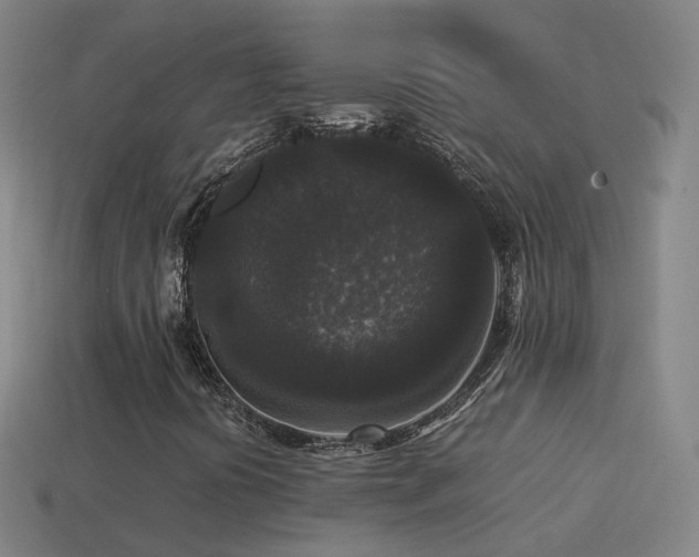 X0000114411394200910161156