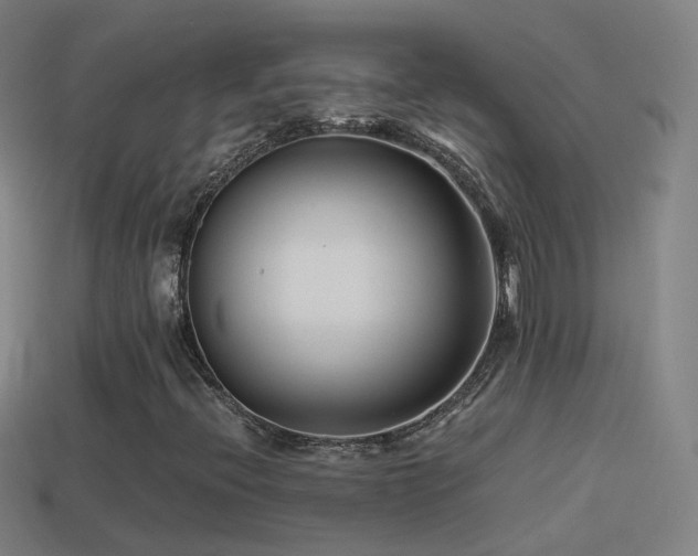X0000114411396200910161156