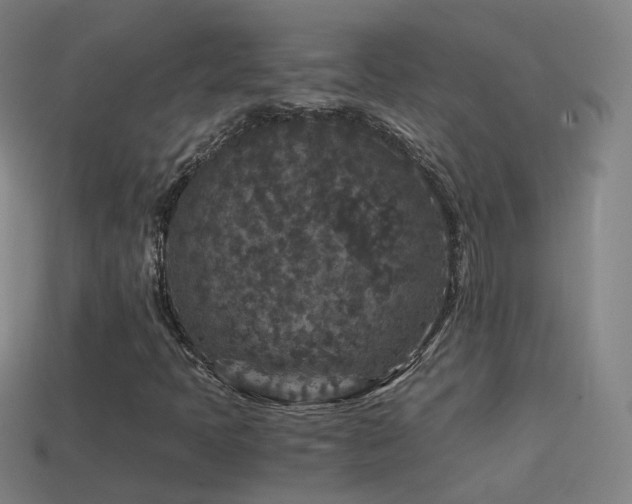 X0000114411397200910161156