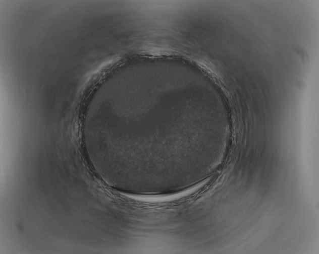 X0000114411398200910161156