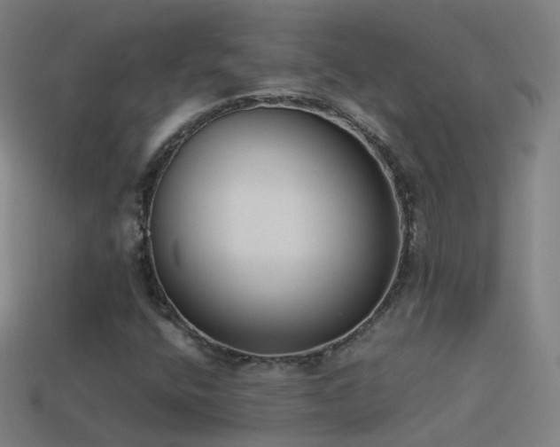 X0000114411400200910161156