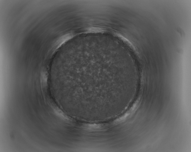 X0000114411401200910161156