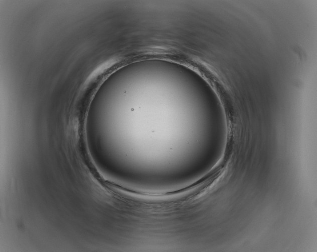 X0000114411402200910161156