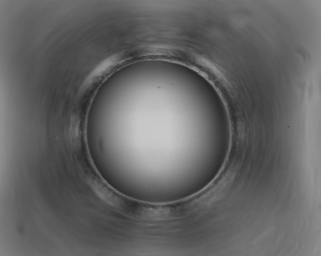 X0000114411403200910161156