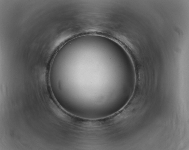X0000114411404200910161156