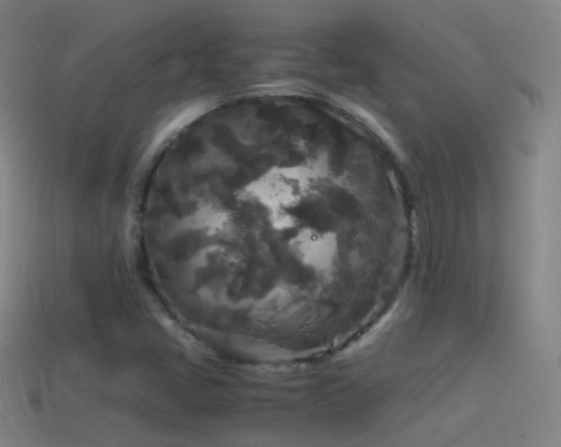 X0000114411405200910161156