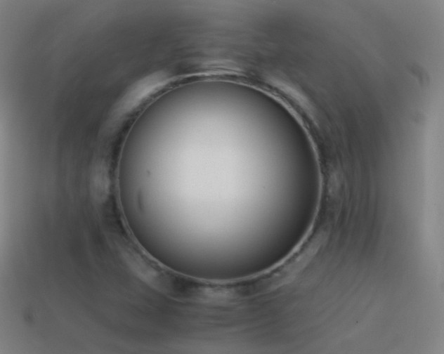 X0000114411407200910161156