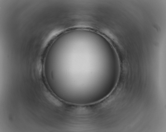 X0000114411408200910161156