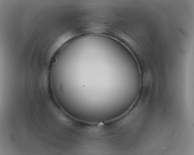 X0000114411410200910161156