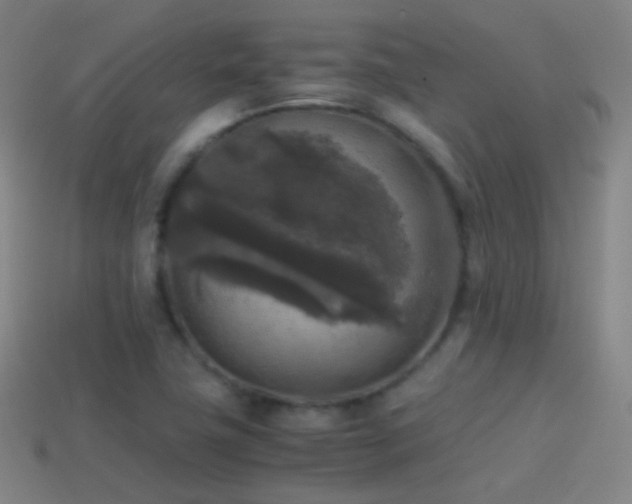 X0000114411411200910161156