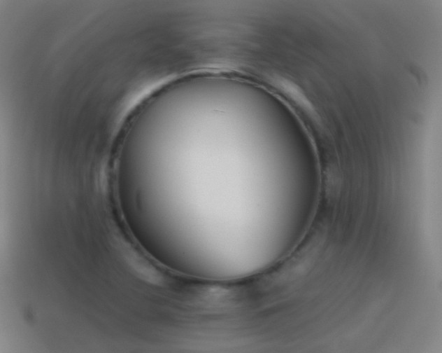 X0000114411412200910161156