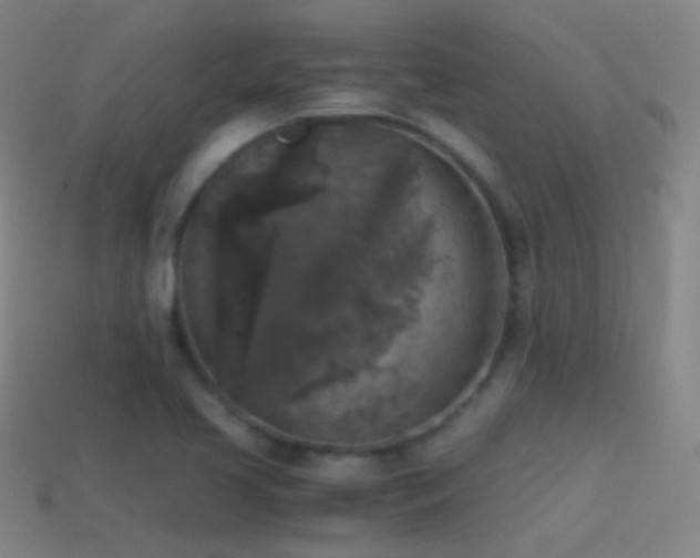 X0000114411413200910161156