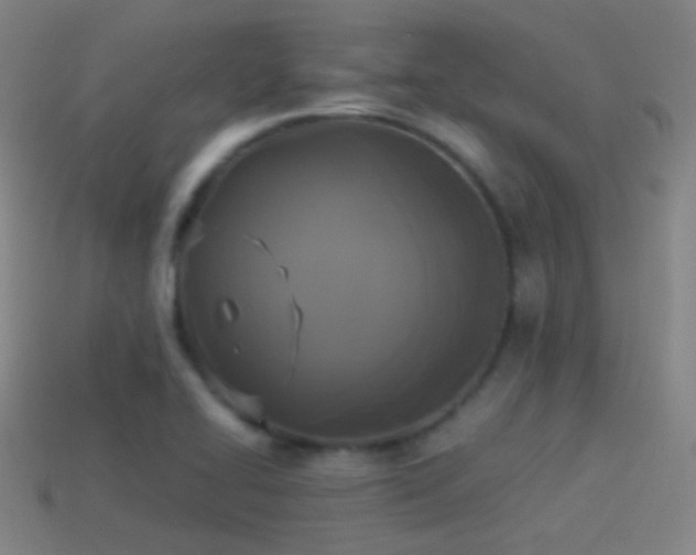 X0000114411414200910161156