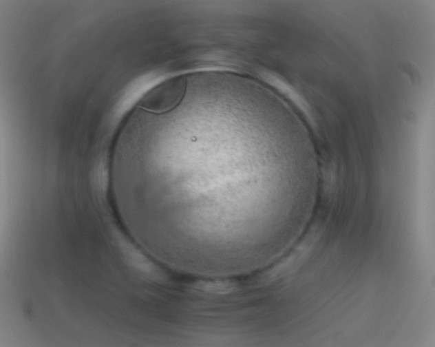 X0000114411415200910161156