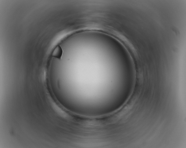 X0000114411416200910161156