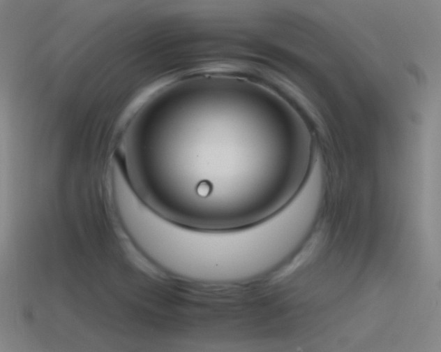 X0000114411417200910161156