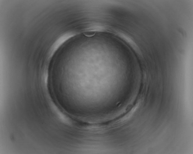 X0000114411418200910161156