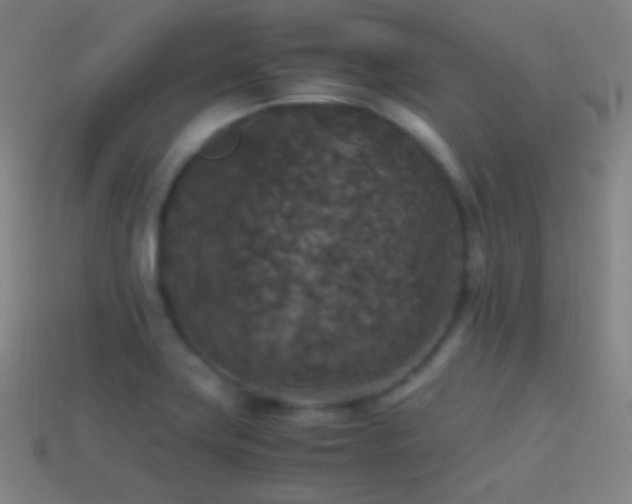 X0000114411419200910161156