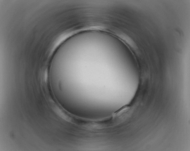 X0000114411420200910161156