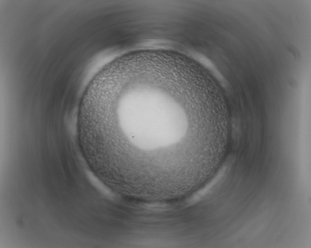 X0000114411421200910161156