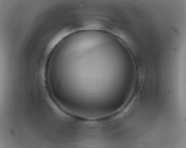 X0000114411422200910161156