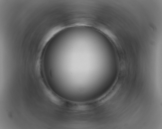 X0000114411423200910161156