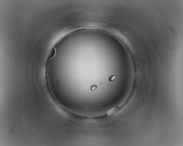 X0000114411424200910161156