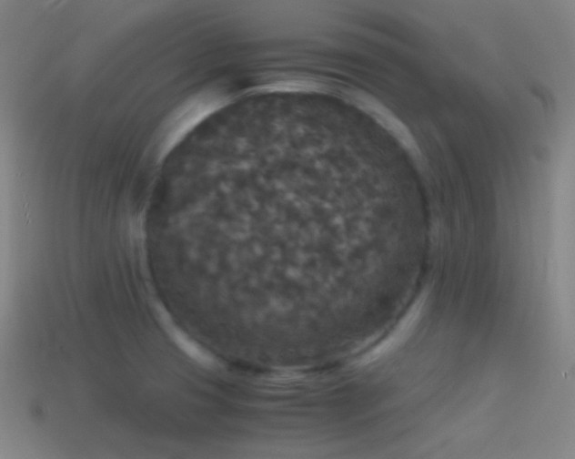 X0000114411425200910161156
