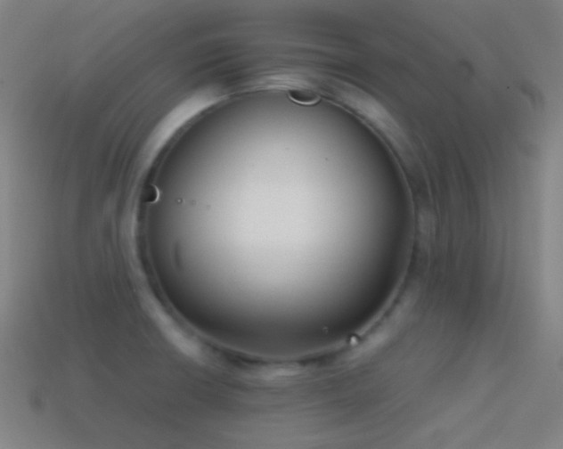X0000114411426200910161156