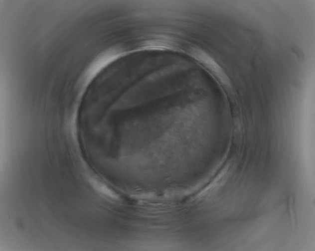 X0000114411427200910161156