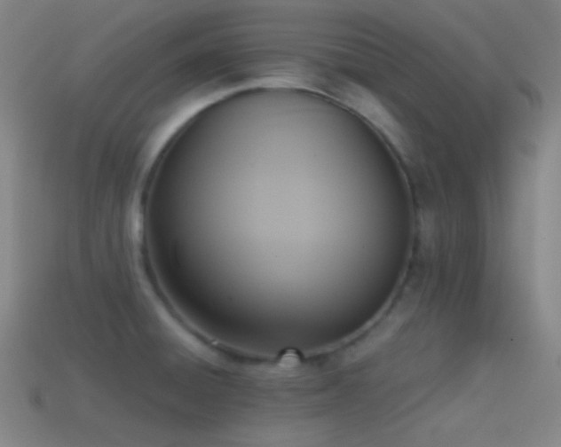 X0000114411428200910161156