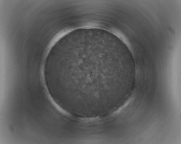 X0000114411429200910161156