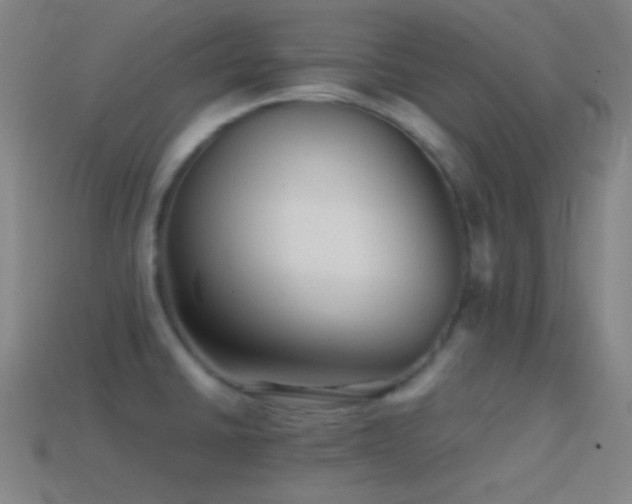 X0000114411430200910161156