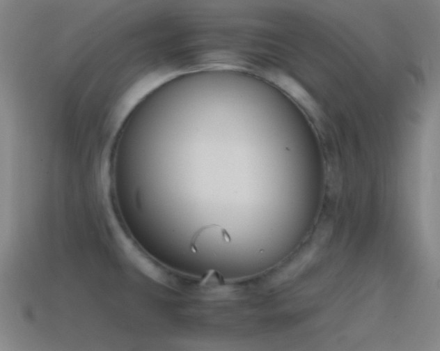 X0000114411431200910161156