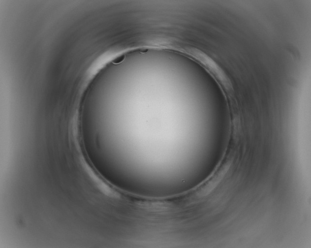 X0000114411432200910161156