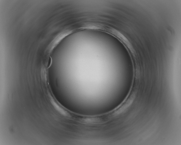 X0000114411433200910161156