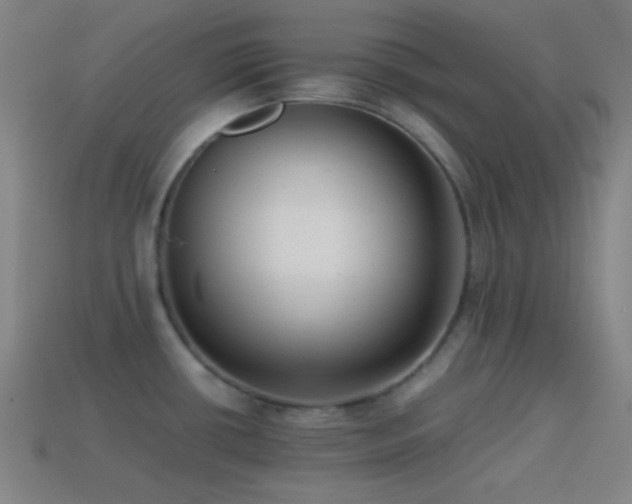 X0000114411434200910161156