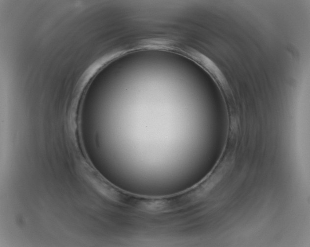 X0000114411435200910161156