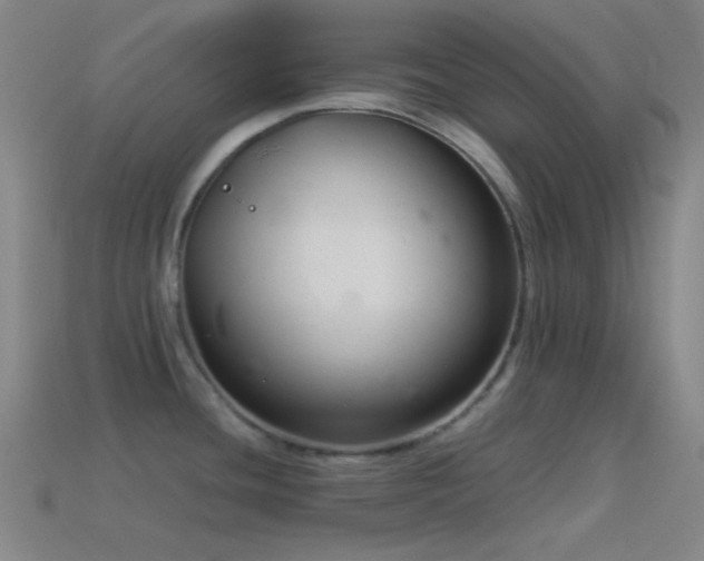 X0000114411436200910161156