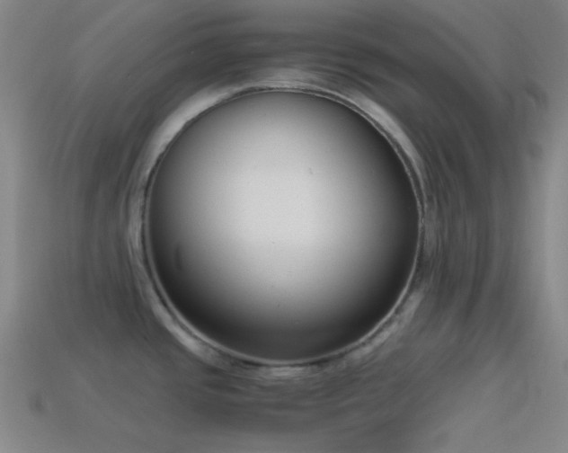 X0000114411437200910161156
