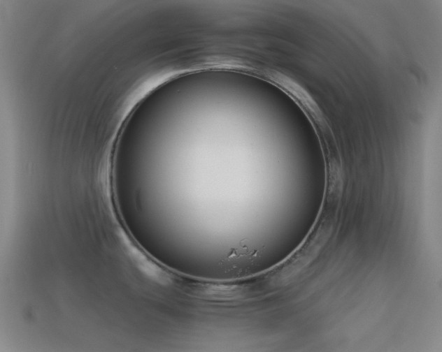 X0000114411439200910161156