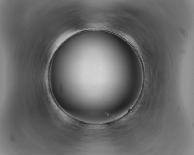 X0000114411440200910161156