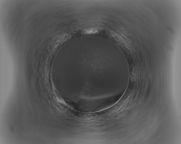 X0000114411441200910161155