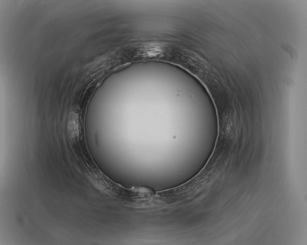 X0000114411442200910161155