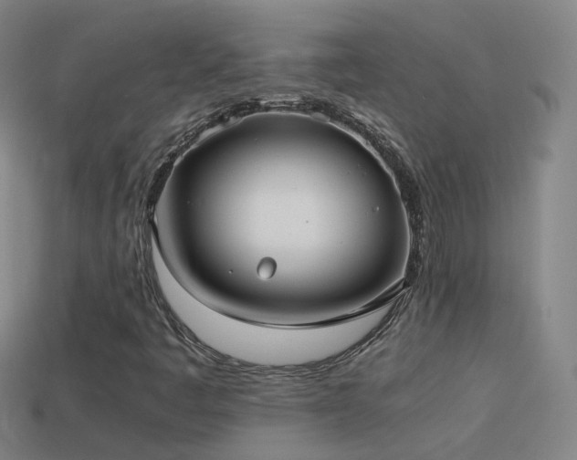 X0000114411445200910161155