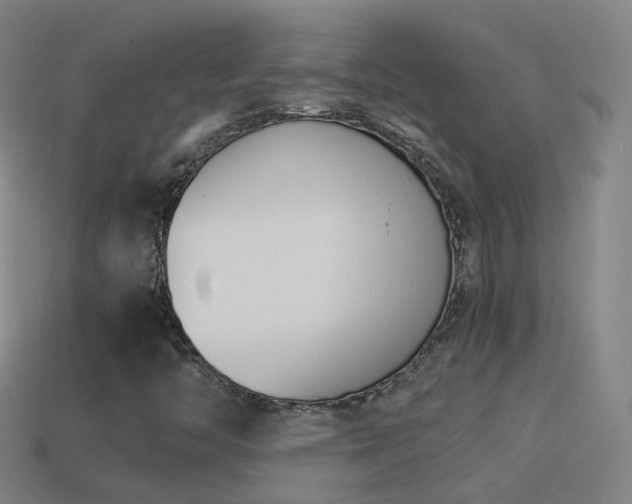X0000114411446200910161155