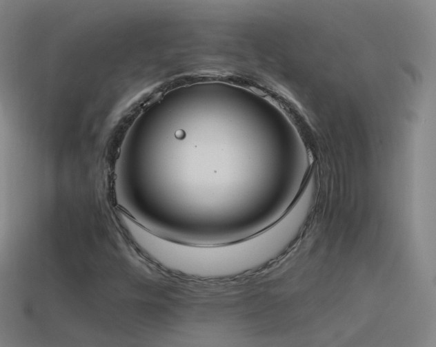 X0000114411448200910161155