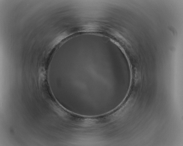 X0000114411449200910161155