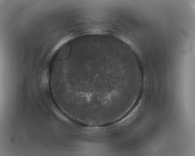 X0000114411450200910161155
