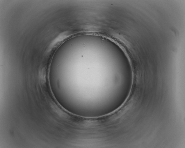 X0000114411451200910161155